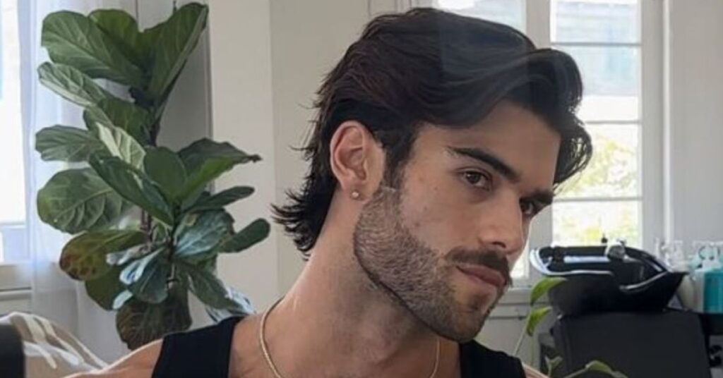 Classic full brush back hairstyle for men with heavy layers and high volume.