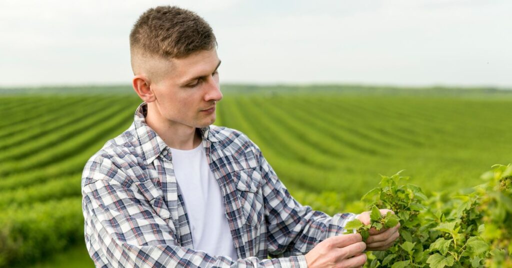 Low taper French crop haircut with a subtle side fade.