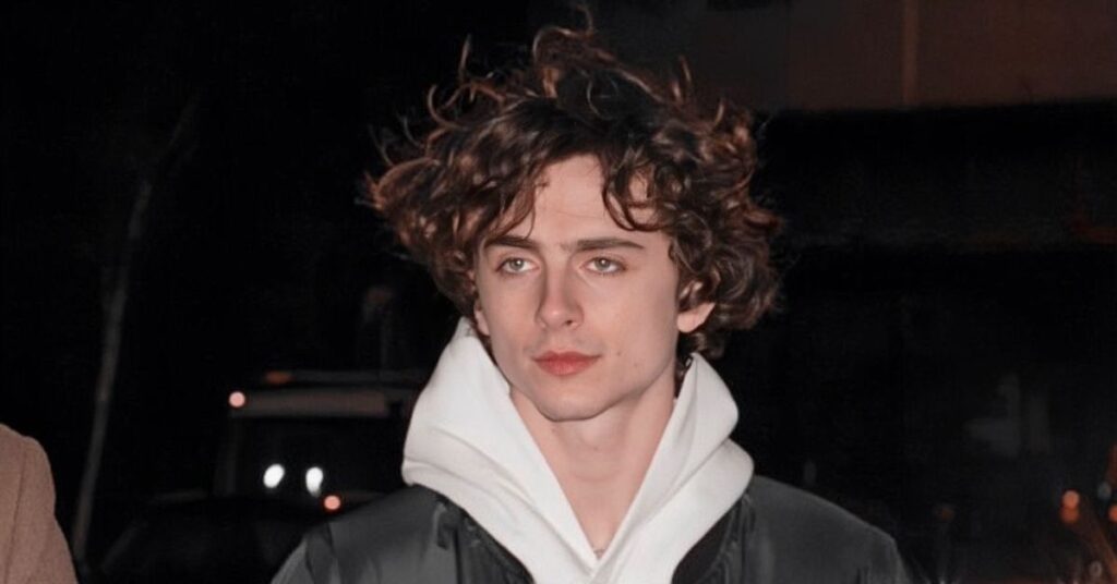  Timothée Chalamet haircut 