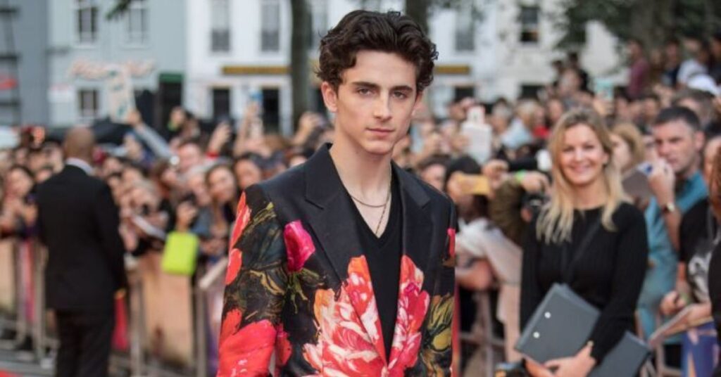  Timothée Chalamet haircut 
