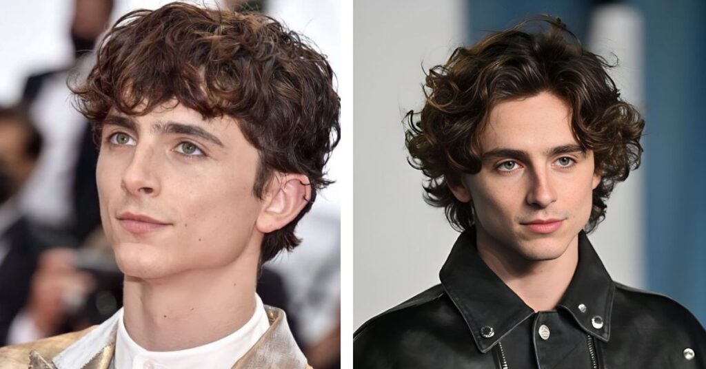  Timothée Chalamet haircut 