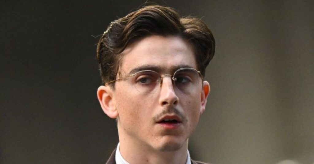  Timothée Chalamet haircut 