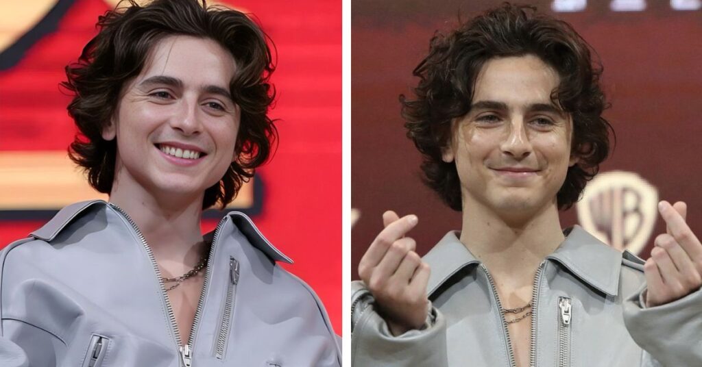  Timothée Chalamet haircut 
