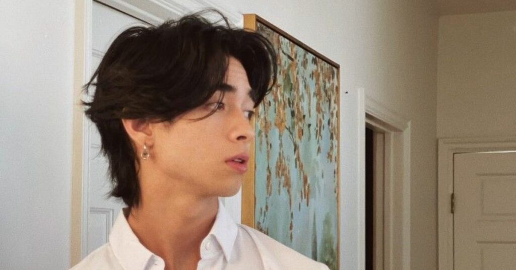 Edgy Modern Wolf Cut Korean hairstyle cut with shaggy layers and high-volume crown.