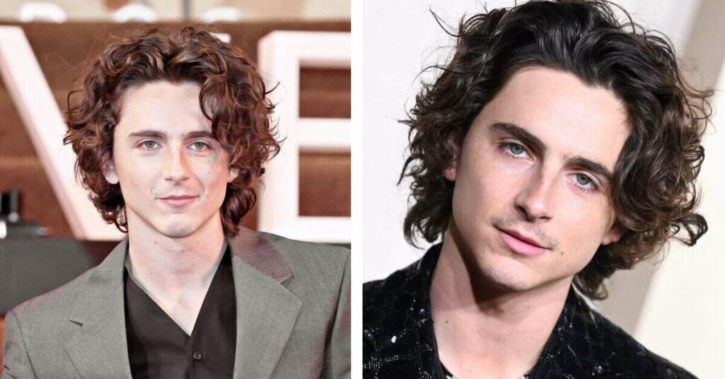  Timothée Chalamet haircut 