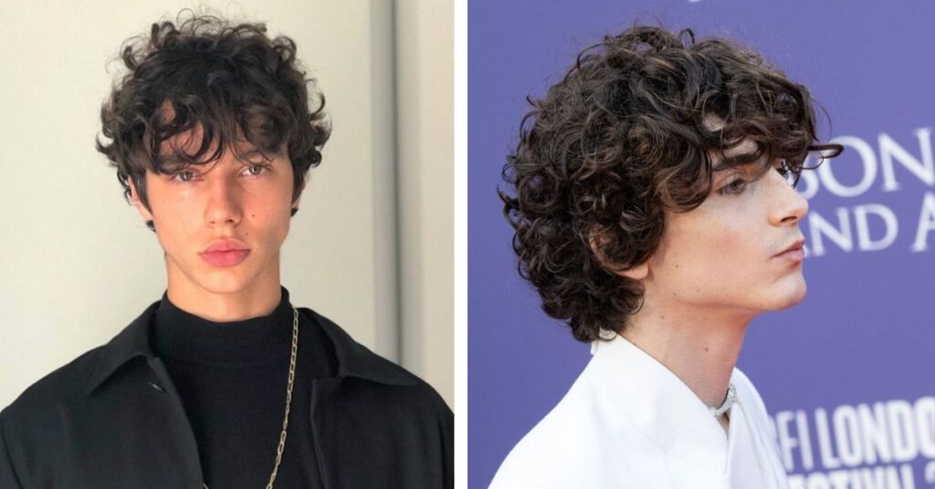  2026 Curly Mod haircut