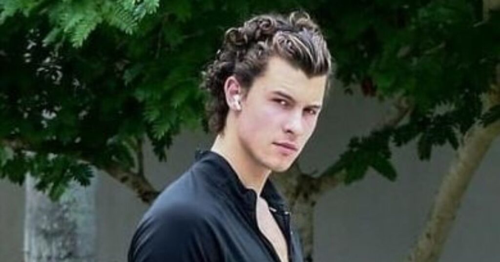 The French Braid haircut