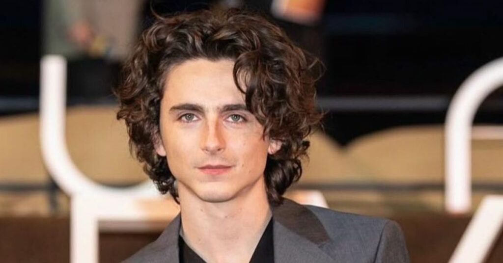Timothée Chalamet Textured Long Hairstyle